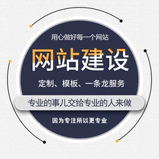 网站建设-中小企业普惠性网站-1380元 