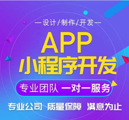 软件开发公司 APP 小程序开发 网页建设 